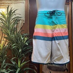 Billabong 73 Spinner Lo Tide Board Shorts 31 | Retro Pastel Stripe Swim Trunks